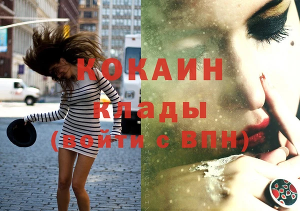 дживик Надым