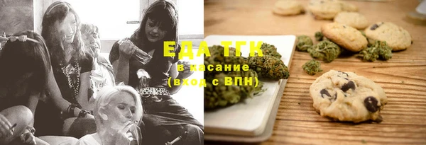 дживик Надым