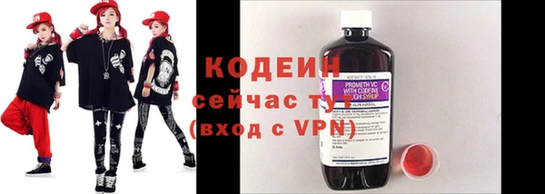 дживик Надым