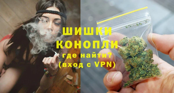 дживик Надым
